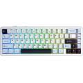 Aula F65 (Glacier Blue)