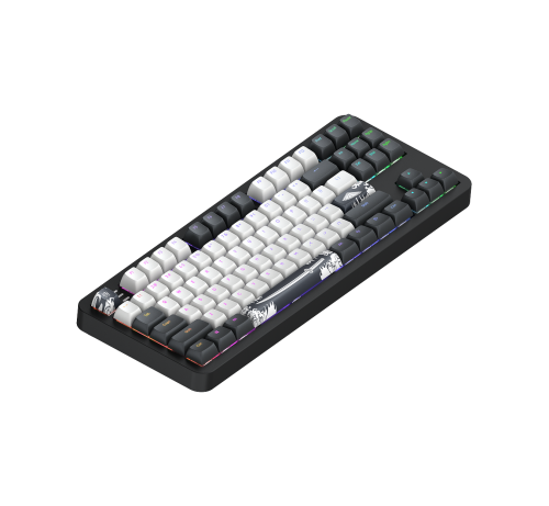 Dark Project ALU87B (Bushido) TKL mehaaniline klaviatuur — foto
