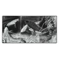 LIT Mousepad „Carp with Wisteria” (Yoshitoshi), tamsus – pelės kilimėlis